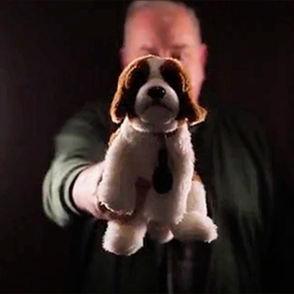 Collard 2 by John Archer