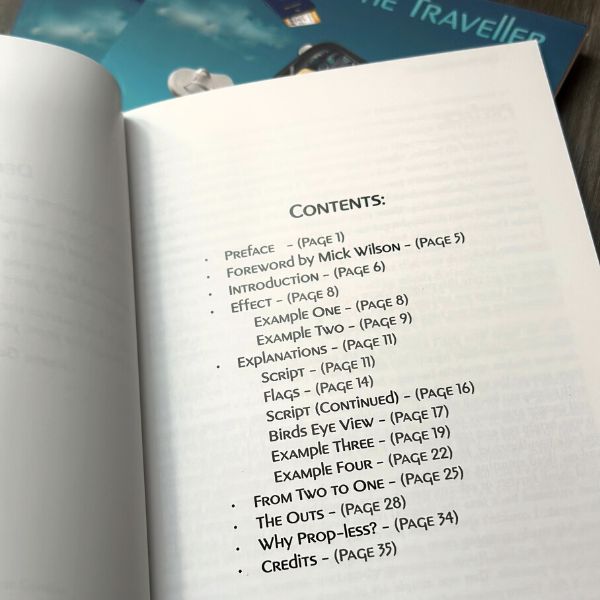 The Traveller by Reese Goodley