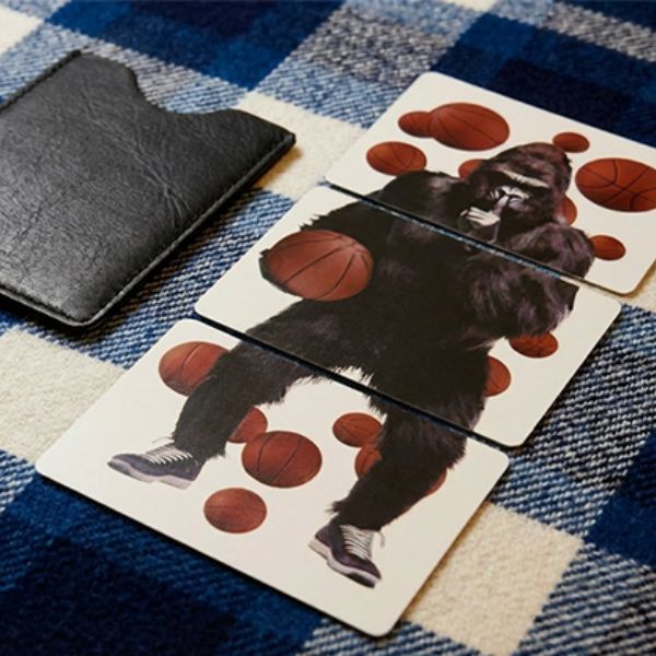 A.P.E.- A Perception Experiment by Craig Petty