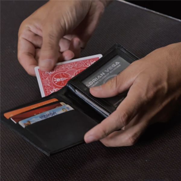 DIVISA by Adrian Vega