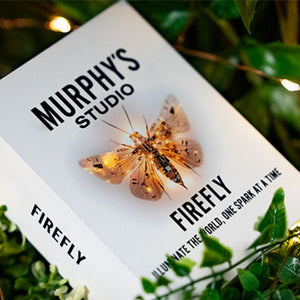 FIREFLY by Titanas