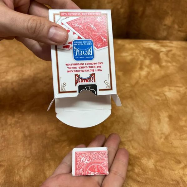 Rattle Box by Steven Perry