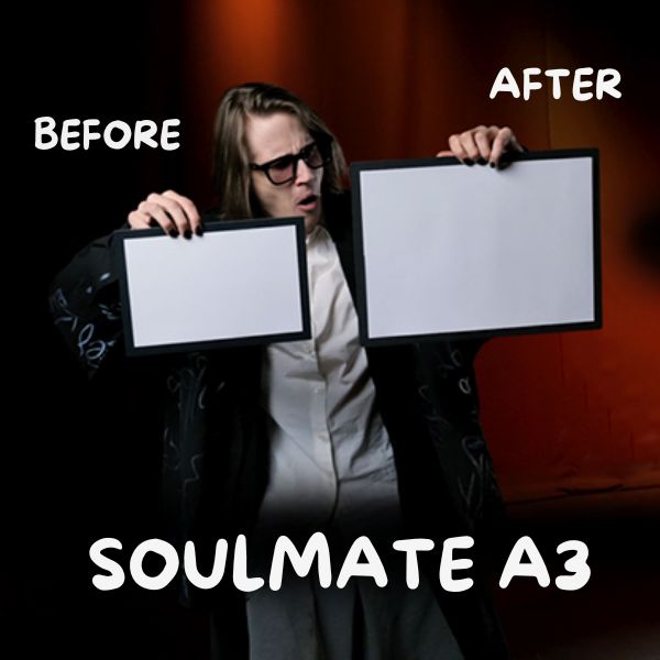 Soulmate (Large A3 size) by Hide & Sergey Koller