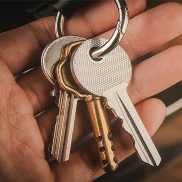 Swiss Key by Nicholas Lawrence and Hanson Chien