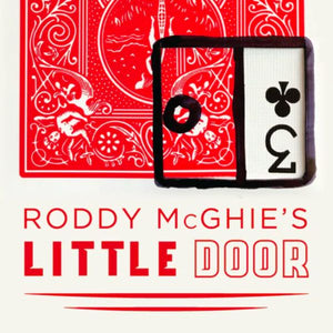 Little Door by Roddy McGhie