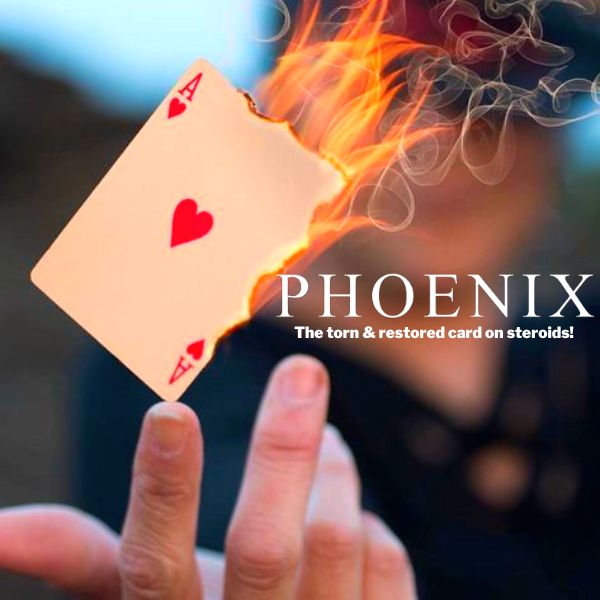 Phoenix by Sirus Magic